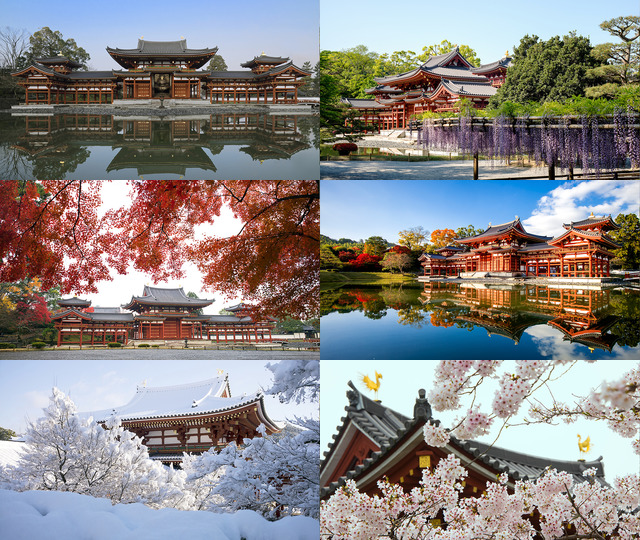 Montage from main website